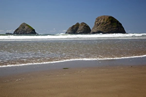 Seastack Prints: OR, Oceanside Beach State Wayside, Oceanside Beach and seastacks
