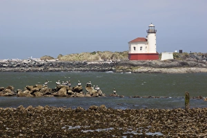 Images Dated 13th May 2012: OR, Oregon Coast, Bandon, Coquille River lighthouse, built in 1896, last lighthouse