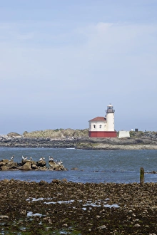 Images Dated 13th May 2012: OR, Oregon Coast, Bandon, Coquille River lighthouse, built in 1896, last lighthouse