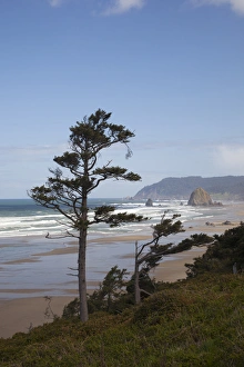 OR, Oregon Coast, Cannon Beach and Haystack Rock