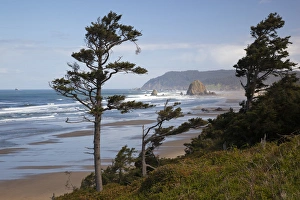 Images Dated 10th May 2012: OR, Oregon Coast, Cannon Beach and Haystack Rock