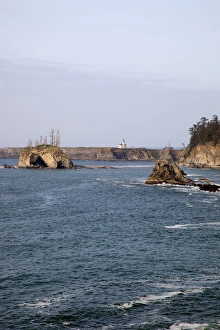 Cape Arago Prints: OR, Oregon Coast, Cape Arago lighthouse, on an islet off Gregory Point