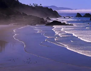 OR, Oregon Coast, Ecola SP, Indian Beach with fog