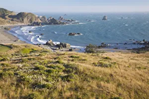 Images Dated 4th September 2008: OR, Oregon Coast, Lone Ranch Beach, view from the Oregon Coast Trail