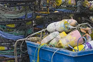 Images Dated 4th April 2008: OR, Oregon Coast, Newport, Fishing floats and Crab pots, at the Port of Newport