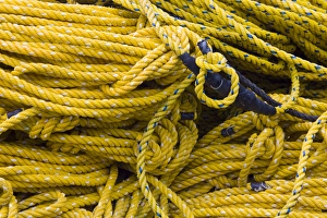Rope Prints: OR, Oregon Coast, Newport, Rope coils, at the Port of Newport