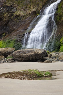Images Dated 24th April 2012: OR, Oregon Coast, Oswald West State Park, Blumenthal Falls, at Short Sand Beach