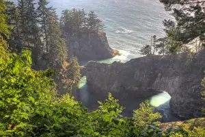 Images Dated 4th September 2008: OR, Oregon Coast, Samuel H. Boardman State Scenic Corridor, Natural Bridges