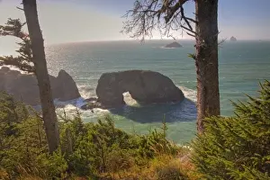 Natural Bridge Prints: OR, Oregon Coast, Samuel H. Boardman State Scenic Corridor, Natural Bridges