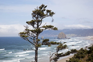 Seastack Prints: OR, Oregon Coast, view of Haystack Rock and Cannon Beach, from highway 101