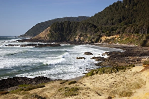 Strawberry Hill Prints: OR, Oregon Coast, view from Strawberry Hill