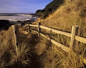 North West Prints: OR, Oregon Coast, Yachats, Neptune Bay and trail to beach