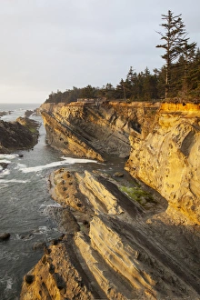 Seastack Prints: OR, Shore Acres State Park, sandstone cliffs and shore line