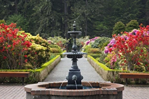 Images Dated 14th May 2012: OR, Shore Acres State Park, Shore Acres Garden, pathway and rhododendrons with fountain