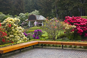 Images Dated 14th May 2012: OR, Shore Acres State Park, Shore Acres Garden, Pavilion with rhododendrons