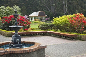 Images Dated 14th May 2012: OR, Shore Acres State Park, Shore Acres Garden, Pavilion and fountain with rhododendrons