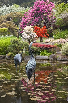 OR, Shore Acres State Park, Shore Acres Garden, flowers and pond with sculpture