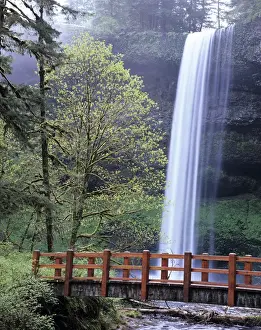 Silver Falls Prints: OR, Silver Falls SP, South Falls with footbridge over Silver Creek