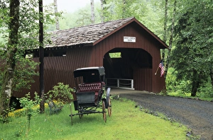Covered Bridge Prints: OR, Siuslaw NF, Drift Creek covered bridge