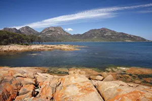 Freycinet Peninsula Prints: Orange Lichen on Rocks, Coles Bay