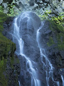 Images Dated 14th October 2021: Oregon, Columbia River Gorge National Scenic Area, Cabin Creek Falls