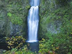 Images Dated 14th October 2021: Oregon, Columbia River Gorge National Scenic Area, Multnomah Falls, lower
