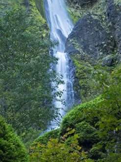 Images Dated 14th October 2021: Oregon, Columbia River Gorge National Scenic Area, Starvation Creek Falls