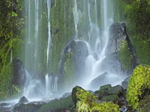 Oregon, Columbia River Gorge National Scenic Area, Lancaster Falls