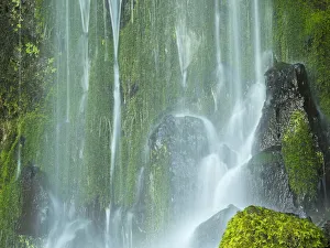Images Dated 14th October 2021: Oregon, Columbia River Gorge National Scenic Area, Lancaster Falls