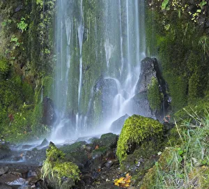 Images Dated 18th March 2021: Oregon, Columbia River Gorge National Scenic Area, Lancaster Falls