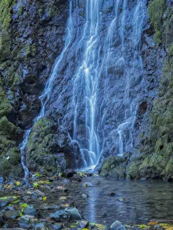Images Dated 14th October 2021: Oregon, Columbia River Gorge National Scenic Area, Cabin Creek Falls