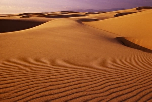 Images Dated 12th January 2011: Oregon Dunes National Recreation Area