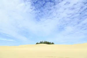 Images Dated 27th August 2013: Oregon Dunes National Recreation Area, Oregon Coast near Reedsport