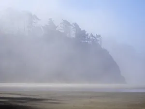 Images Dated 18th May 2022: Oregon, Hug Point. Morning fog