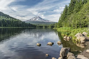Images Dated 18th January 2022: Oregon, Mt. Hood National Forest. Trillium Lake and Mt. Hood
