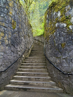 Stairway Prints: Oregon, USA. Columbia River Gorge National Scenic Area, stairway
