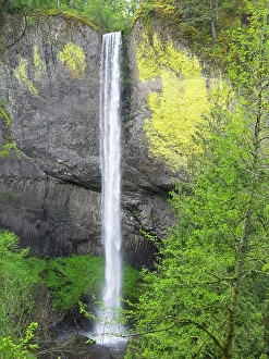 Images Dated 17th May 2024: Oregon, USA. Columbia River Gorge National Scenic Area, Latourell Falls