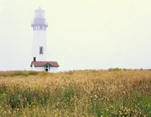 Images Dated 30th July 2007: OREGON. USA. Yaquina Head Lighthouse in fog. Pacific Coast
