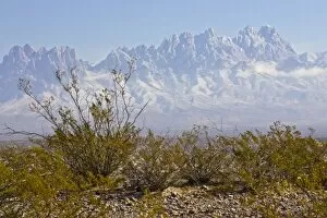 Organ Mountains with snow and creosote bush in foreground, clouds around peaks, east of Las Cruces