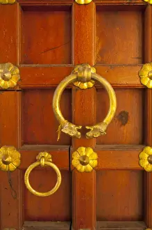 Udaipur Prints: Ornate door at the City Palace, Udaipur, Rajasthan, India