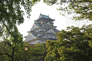Shin Terada Prints: Osaka Castle