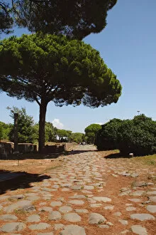 Ostia Antica. The Decumanus Maximus. Detail of the paving on a roman road