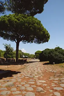 Pavement Prints: Ostia Antica. The Decumanus Maximus. Detail of the paving on a roman road