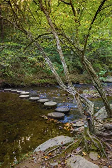 Images Dated 5th August 2021: Otter Lake Creek stepping stones, Blue Ridge Parkway, Smoky Mountains, USA