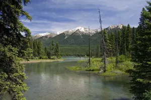 Forestry Prints: The outlet creek of Holland Lake in the Flathead National Forest near Condon, Montana