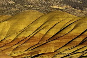 Painted Hill Prints: Overlook detail, Painted Hills, John Day Fossil Beds, Mitchell, Oregon, USA