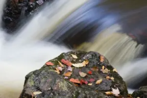 Overlooked Falls in the Little Carp River in the Porcupine Mountains Wilderness State