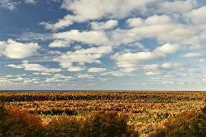 Michigan Prints: Overlooking fall colors, Pictured Rocks National Lakeshore, Upper Peninsula of Michigan