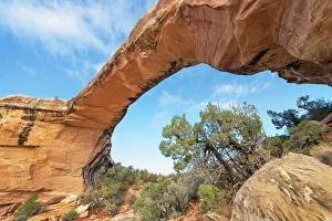 View From Below Prints: Owachomo Bridge, Natural Bridges National Monument, Utah