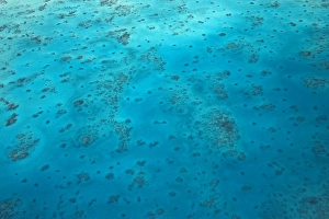 Images Dated 5th October 2007: Oyster Reef, Great Barrier Reef Marine Park, North Queensland, Australia - aerial